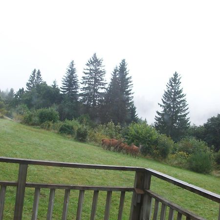 Les Angeliques Apartment Gerardmer Luaran gambar