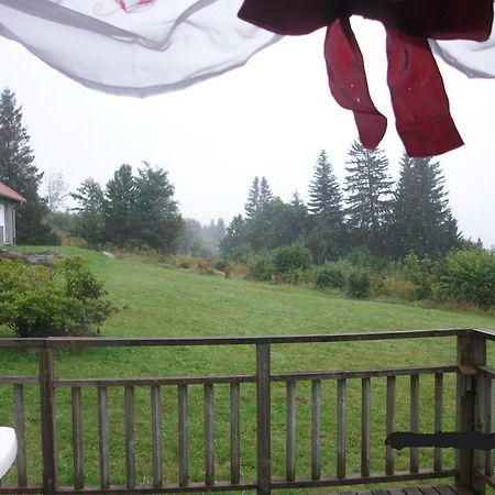 Les Angeliques Apartment Gerardmer Luaran gambar