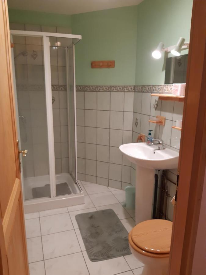 Les Angeliques Apartment Gerardmer Luaran gambar
