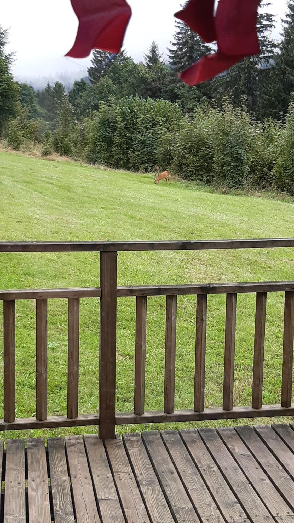 Les Angeliques Apartment Gerardmer Luaran gambar